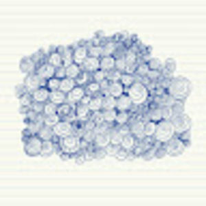 Meet your Posher, Indigo